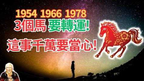 1978屬馬五行|五行揭秘：78年馬人財運